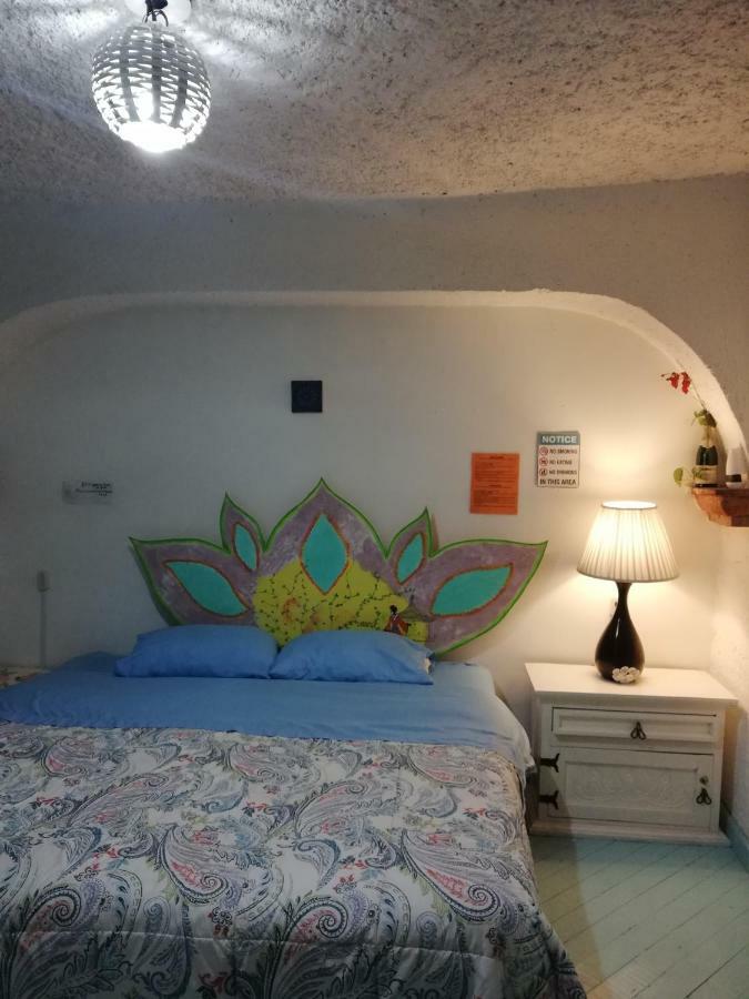 Hostel Mexico Df Airport