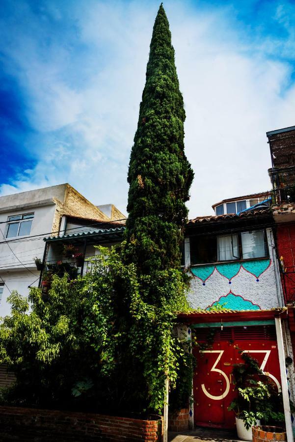 Hostel Mexico Df Airport Mexiko-Stadt